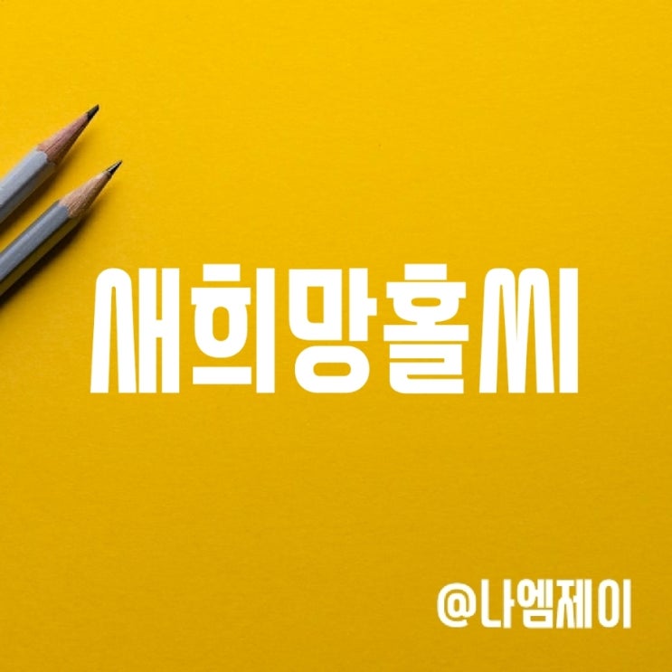 정부지원 저신용자 새희망홀씨 대출(NH농협/우리은행 금리) 정부지원 저신용자 새희망홀씨 대출(NH농협/우리은행 금리)