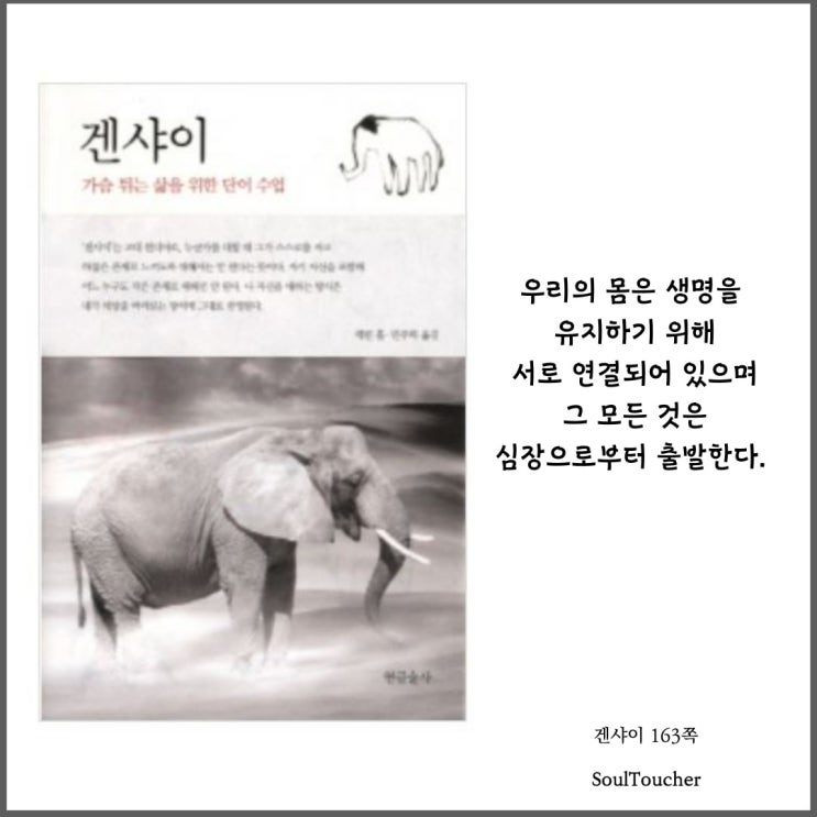 『겐샤이』:심장을뛰게하라 『겐샤이』:심장을뛰게하라