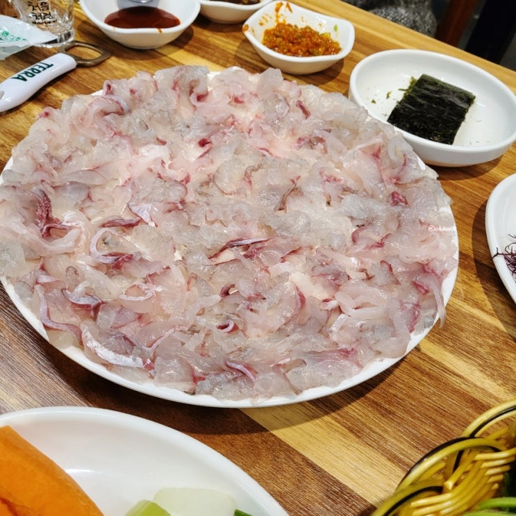  종로3가 감성돔만 파는 갯마을 횟집