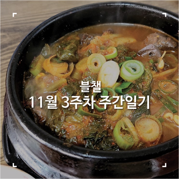 [블챌]맛집 탐방하다 지나간 11월 3주 차 주간 일기