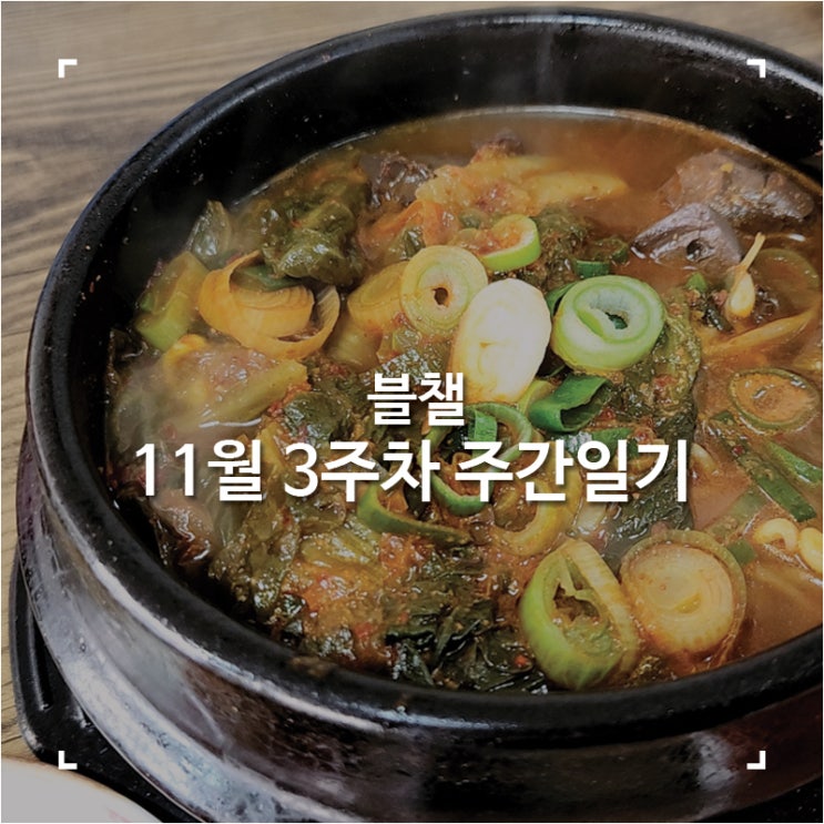  [블챌]맛집 탐방하다 지나간 11월 3주 차 주간 일기