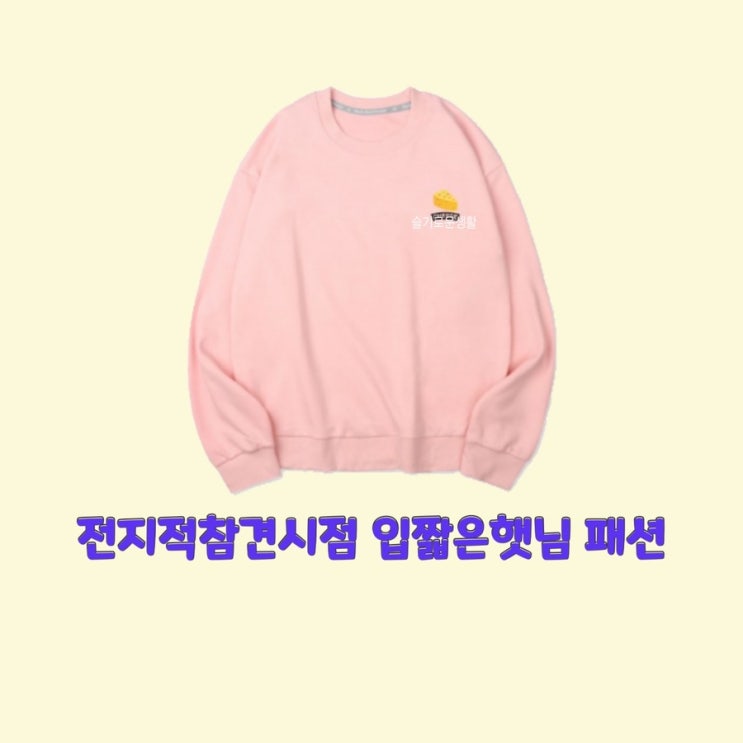  입짧은햇님 전지적참견시점 226회 맨투맨 티셔츠 니트 탑 옷 패션