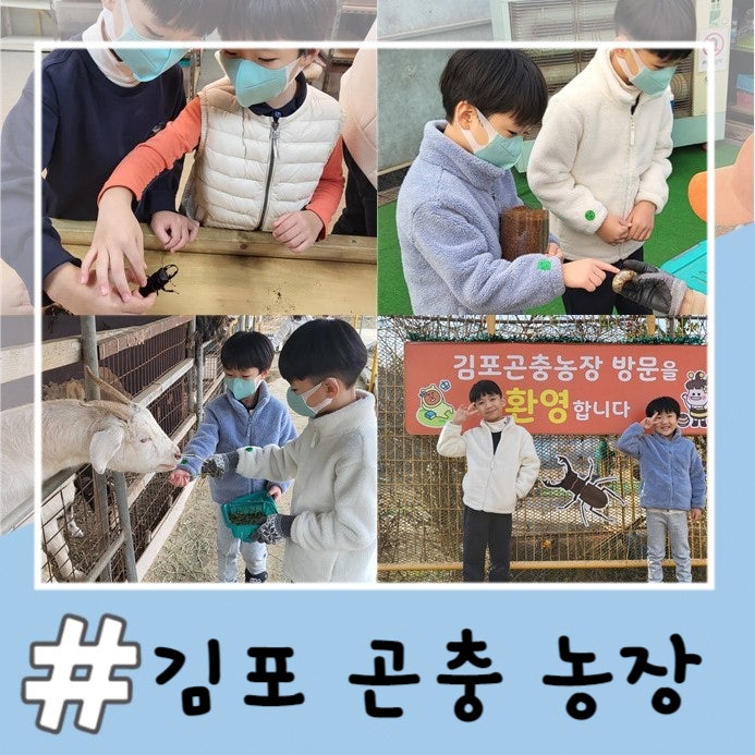 김포곤충농장 사슴벌레, 장수풍뎅이 체험 / 감자캐기, 고구마캐기, 밤 줍기 등 계절마다 다른....