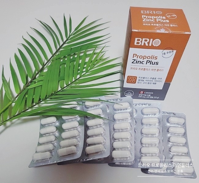  브리오 프로폴리스 캡슐 간편하게 섭취할 수 있어요