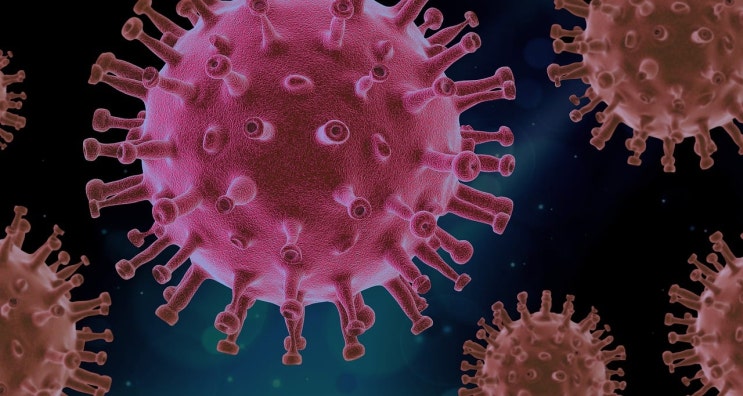 메타뉴모바이러스 증상 및 수족구병 감염 유형(콕사키바이러스)