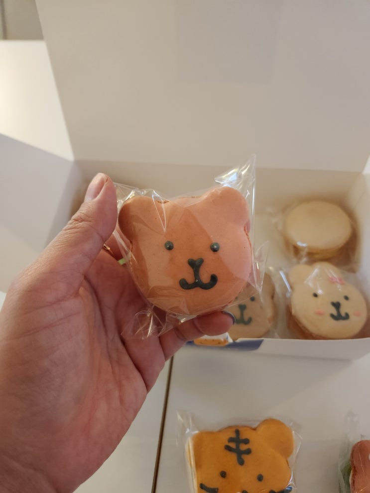 신용산디저트 슈앤디 마카롱 배달시켜봄 신용산디저트 슈앤디 마카롱 배달시켜봄
