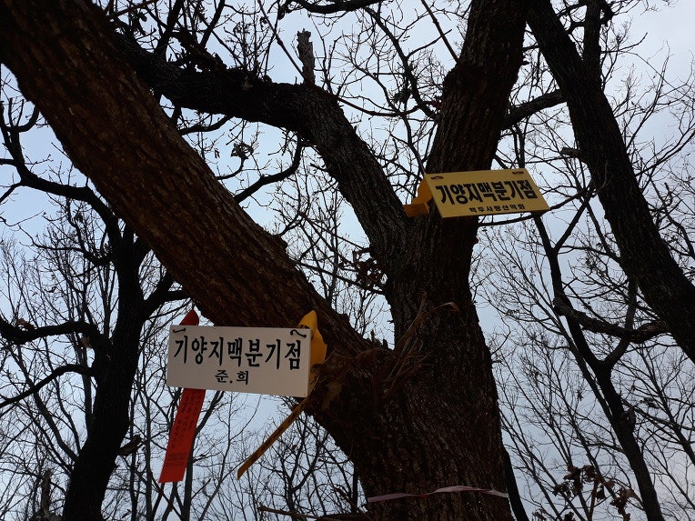 동지골산 사진 1