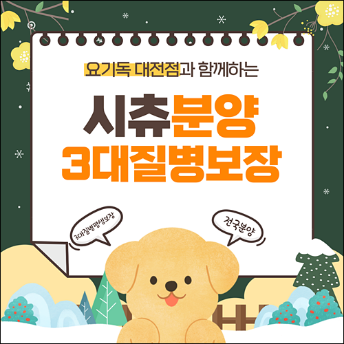  대전시츄분양 착한 분양가 데려왔어요