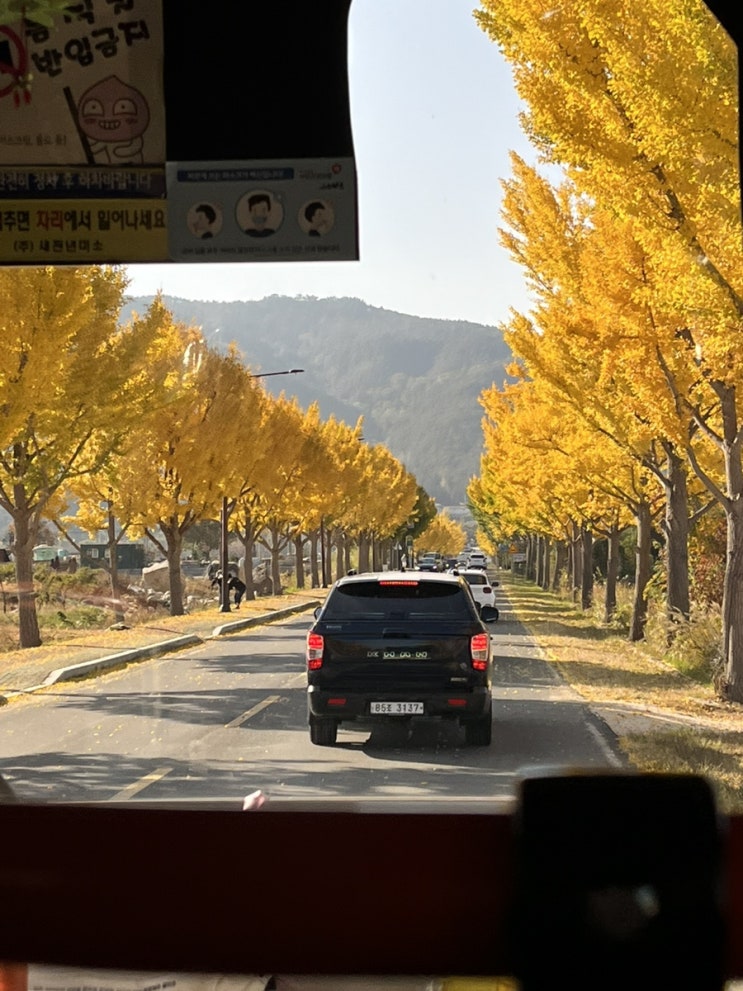  경주 다녀온 지 어언..