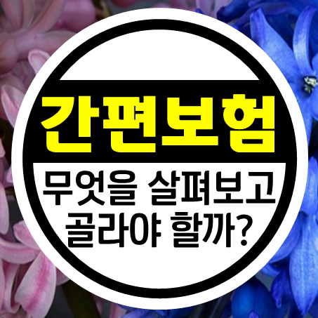  유병자종합보험 무엇을 살펴보고 골라야 할까?