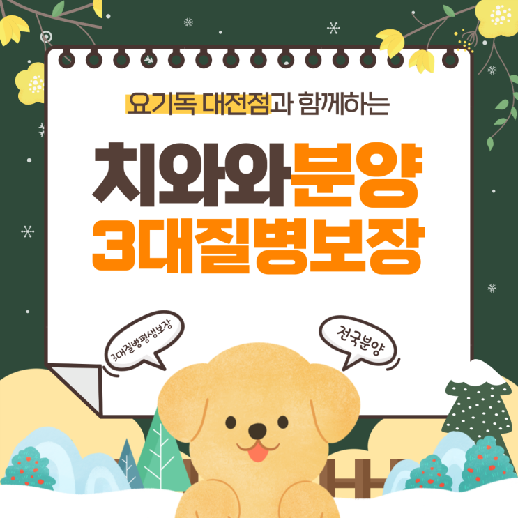  대전치와와분양 정직한 분양가로 만났어요