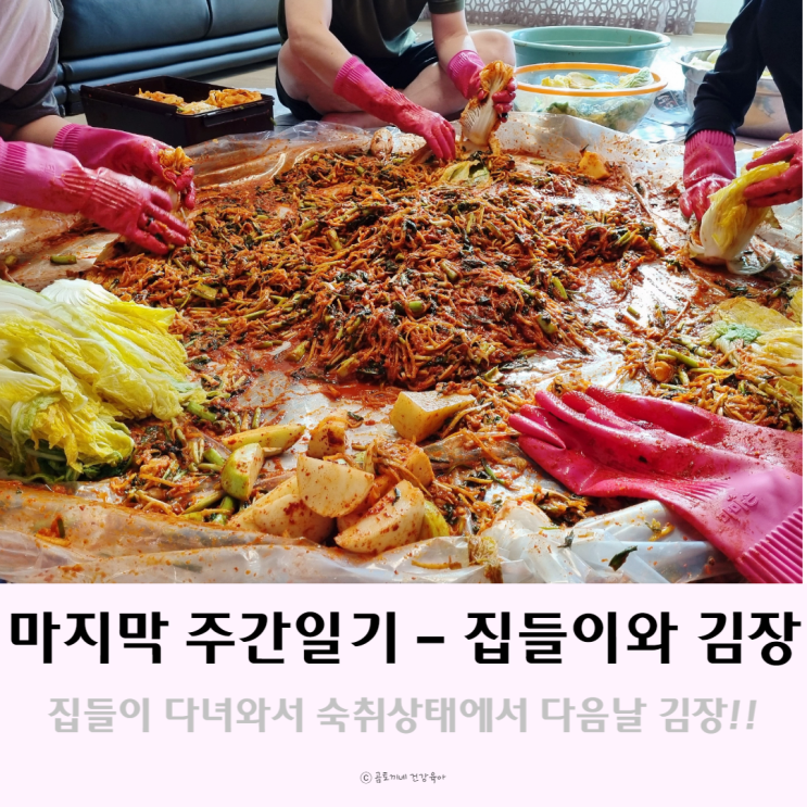 마지막 주간일기 : 집들이 갔다가 김장하니 체력이 쭉쭉 빠지네 마지막 주간일기 : 집들이 갔다가 김장하니 체력이 쭉쭉 빠지네