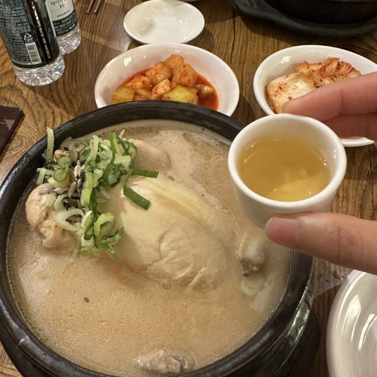 경복궁역 맛집 추천 토속촌 삼계탕 내돈내산 재방문 후기