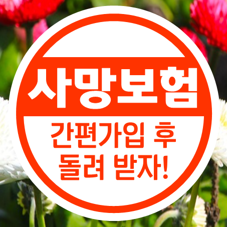  노인사망보험 간편가입 후 납입한 금액까지 돌려받자!