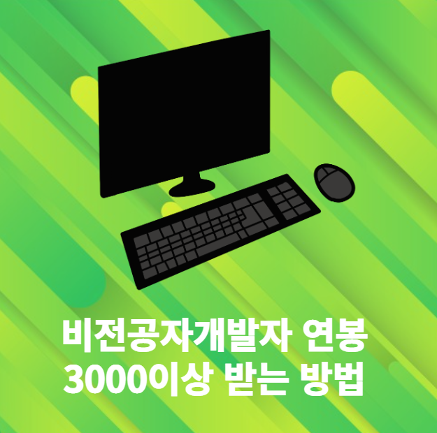 비전공자 개발자 연봉 3000부터 시작하는 방법