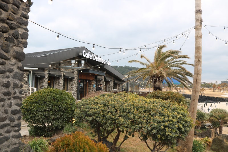 제주 예쁜카페 델문도 푸딩전문점 제주 우무
