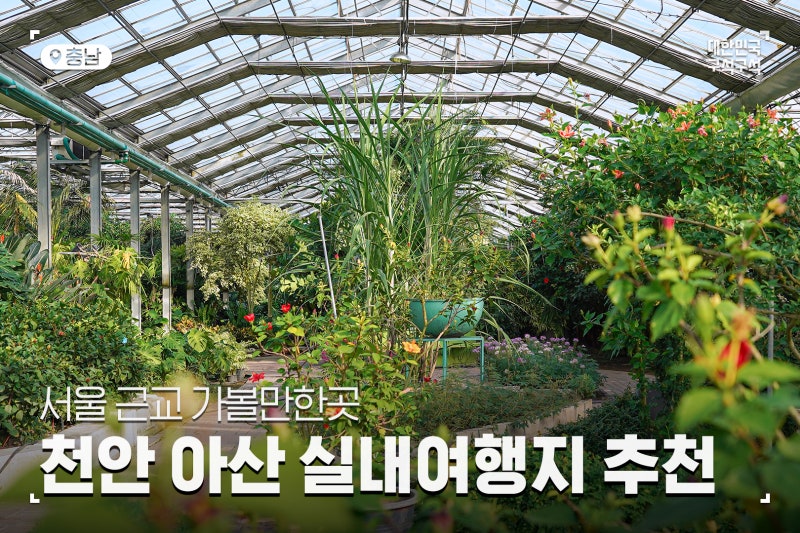 서울 근교 여행 천안 아산 실내 가볼 만한 곳 5 :: 세계꽃식물원, 모나무르, 도고소풍, 타운홀전망대, 앤블가옥, 천안여행추천,  아산여행추천, 당일치기, 겨울여행 : 네이버 블로그