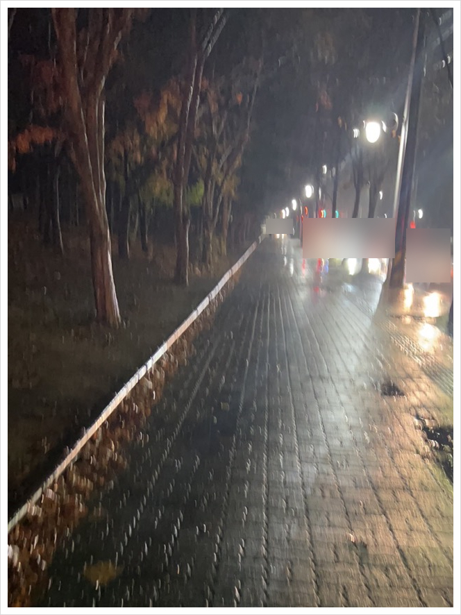  오늘 배운 것