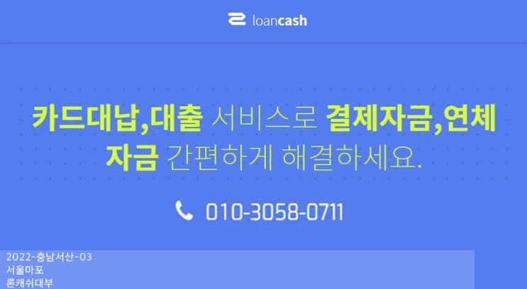  #카드연체대납 대출 론캐쉬에서!