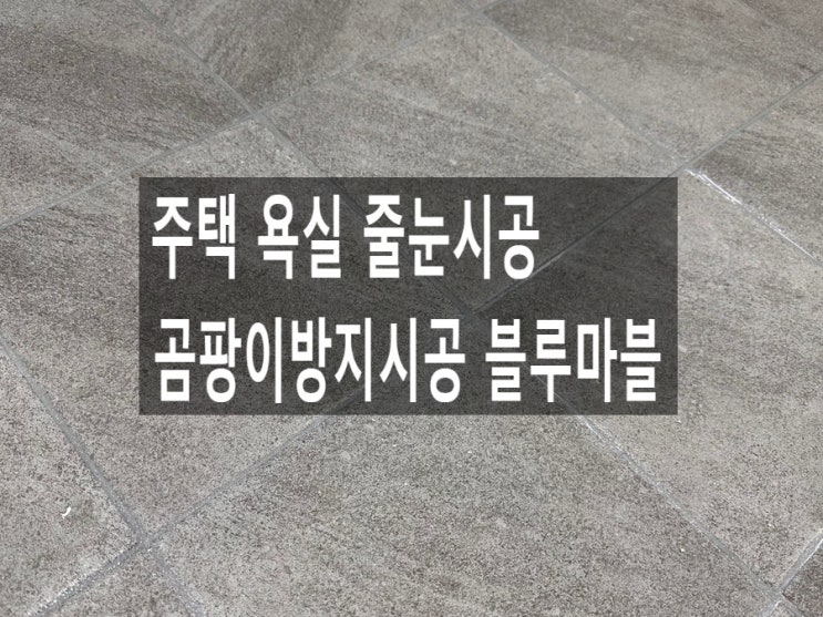  주택 욕실 줄눈시공 곰팡이방지시공 블루마블