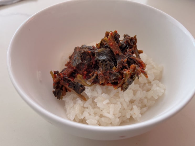 맨밥에 비벼먹는 윤영근의 착한 나물 매운맛(곤드레, 취나물)