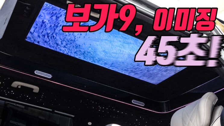  보가9 이미징 버전2.  카니발 하이리무진의 새로운 기준이 됩니다.