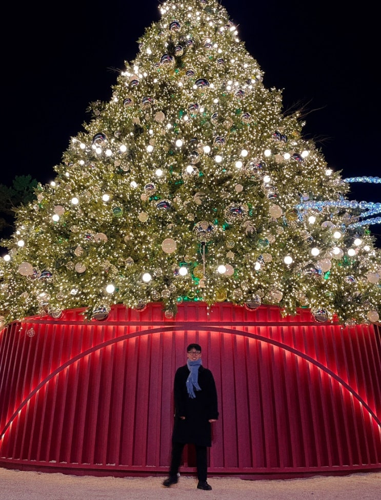  11월 4주차 | 미리 크리스마스