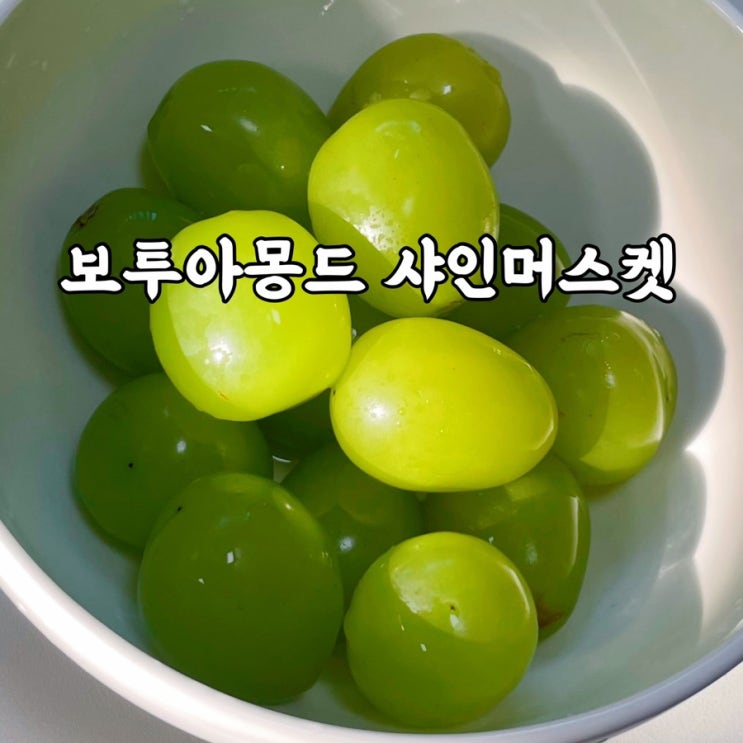  보투아몽드 달달한 샤인머스캣 후기 명절선물세트 추천