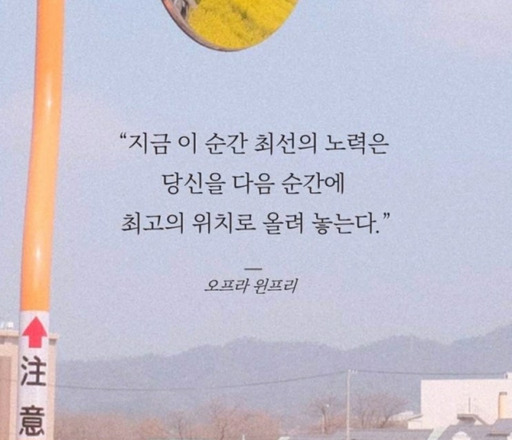  부거사이 [부동산 뉴스와 블로그] 11월 28일(월)