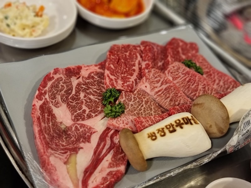 사진 9
