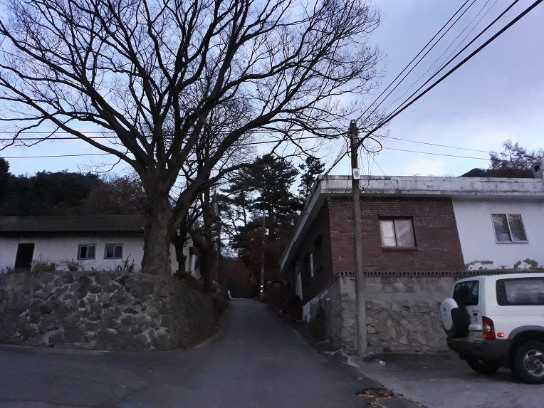 동지골산 사진 3