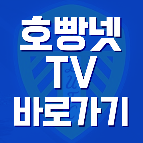  호빵넷 tv 무료 실시간 바로가기 완벽정리!