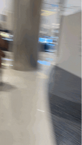  부산 신세계센텀 오픈런 커플링, 웨딩밴드견적비교!(쇼메,불가리,까르띠에,티파니앤코,금방)