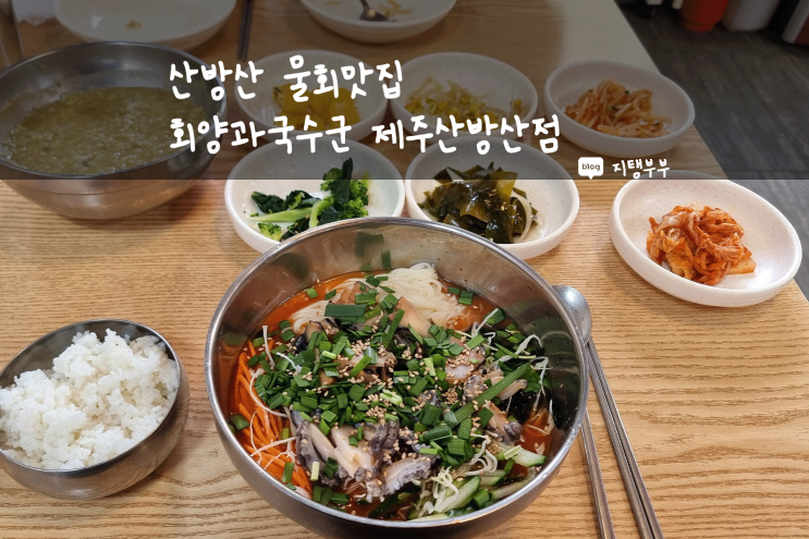  제주도 서쪽 | 산방산물회 맛집 회양과국수군 산방산점