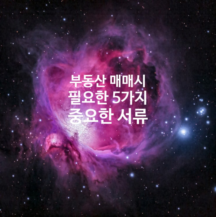  모르면 큰일나는 부동산 5가지 서류