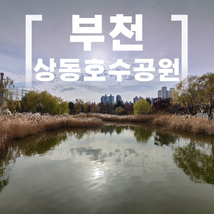 부천 상동호수공원 갈대밭 놀이터 물의나라 주차장 부천 상동호수공원 갈대밭 놀이터 물의나라 주차장