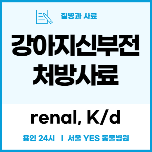  강아지 신부전 증상과 처방사료_renal, K/d (용인 분당 24시 동물병원)