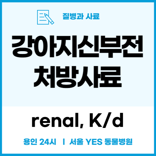 강아지 신부전 증상과 처방사료_renal, K/d (용인 분당 24시 동물병원)