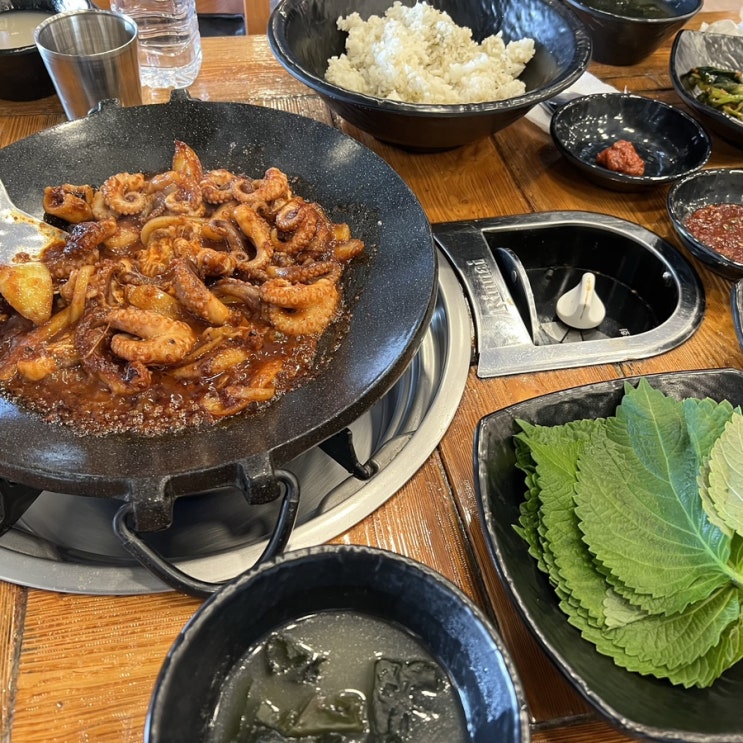  의정부 민락 산슬촌 쭈바람 쭈꾸미 맛집
