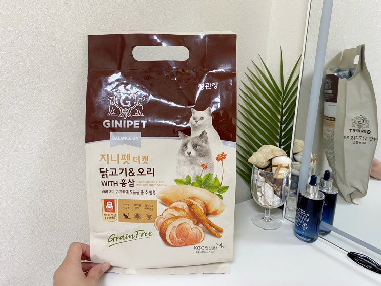 고양이밥 균형잡힌 사료로 건강 밸런스를 높여주세요