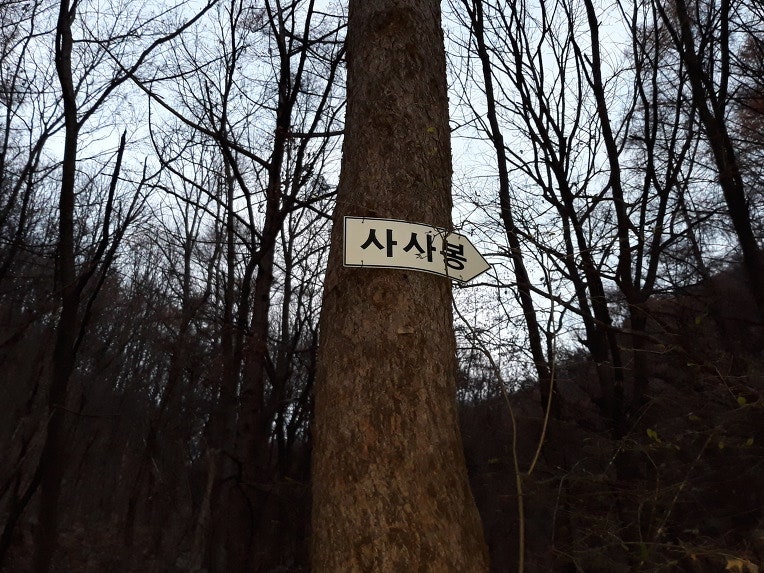 동지골산 사진 6