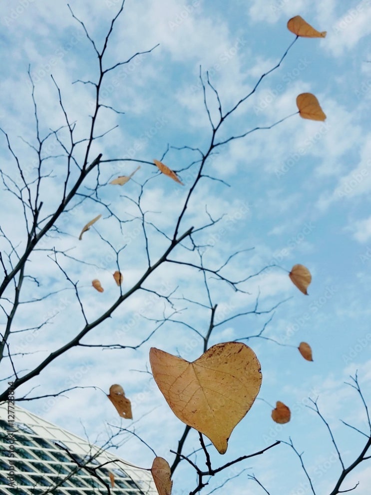  [블챌]반드시 들어야 할 재즈 100 /10. Autumn Leaves 가사해석 -늦은가을에 어울리는 재즈