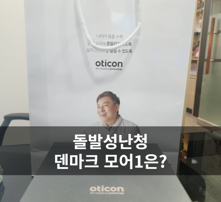  돌발성난청 덴마크 오티콘보청기 MORE(모어)1 구입후기