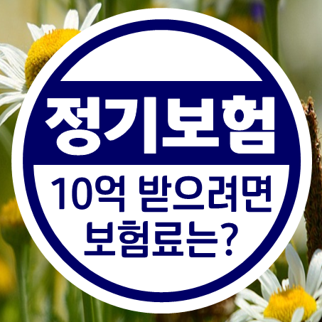  비갱신정기보험 10억 받으려면 얼마나 내야 하나?