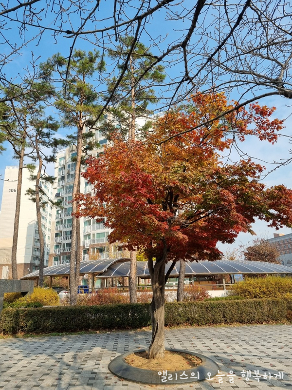  만보걷기하며 명상하기(니체와 함께 산책을)