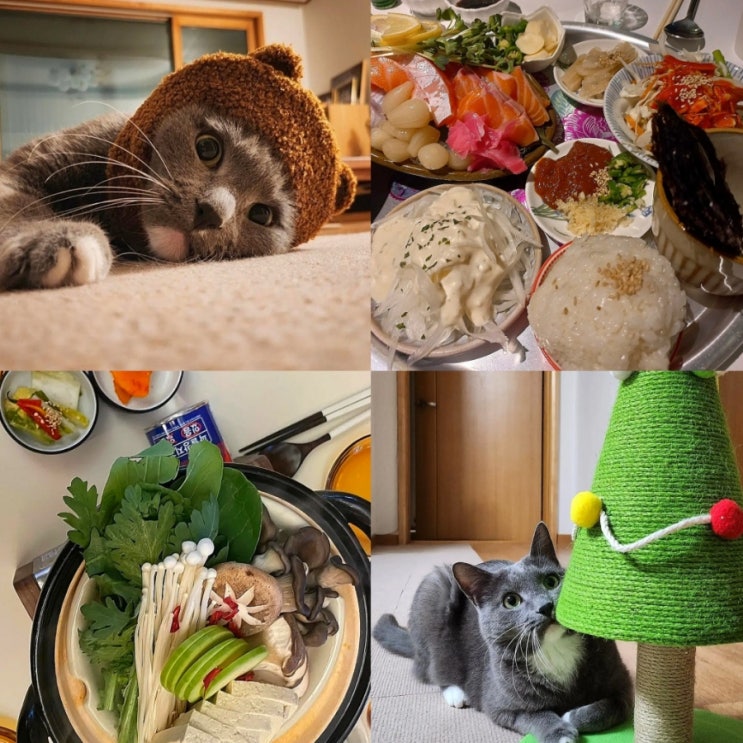  11월도 끝!동남지구 옥바당/유안/맛똥삼/설빙/오창 가마솥의 누룽지/신성당️