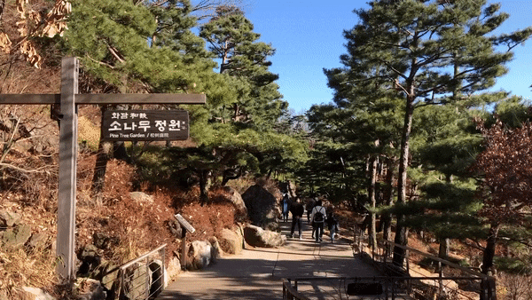  22년 늦 가을 화담숲으로의 초대