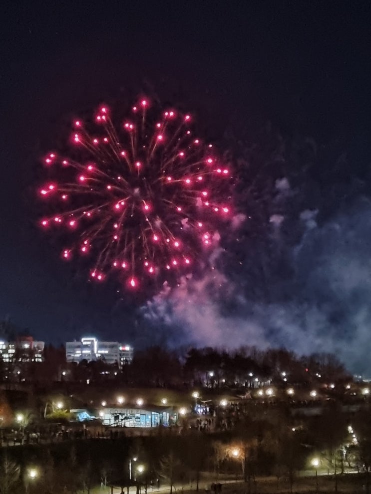  [2022 운정호수공원 불꽃축제] 제4회 운정불꽃축제 관람후기