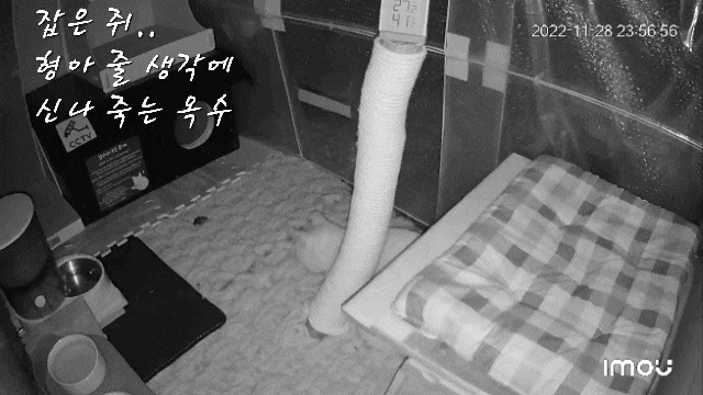  형아에게 줄 선물에 신명나는 옥수에요 ^^;; : 유기묘옥수