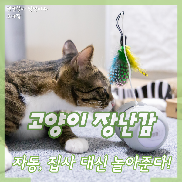  고양이 자동 장난감, 행동유발 일으켜주는 로봇집사 냥이꺼2